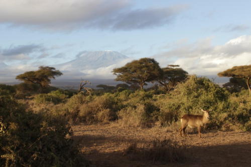 Kenya