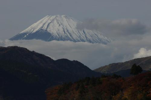 Japon