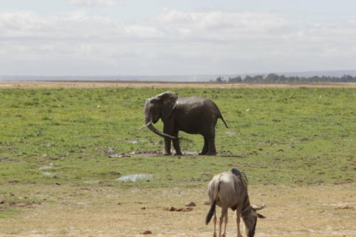 Kenya